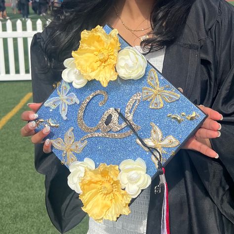 Berkeley Cap Decoration, Ucsd Grad Cap, Ucsb Grad Cap, Berkeley Grad Cap, Michigan Grad Cap, Uc Berkeley Graduation, Uw Grad Cap, Cal Berkeley, Graduation Board