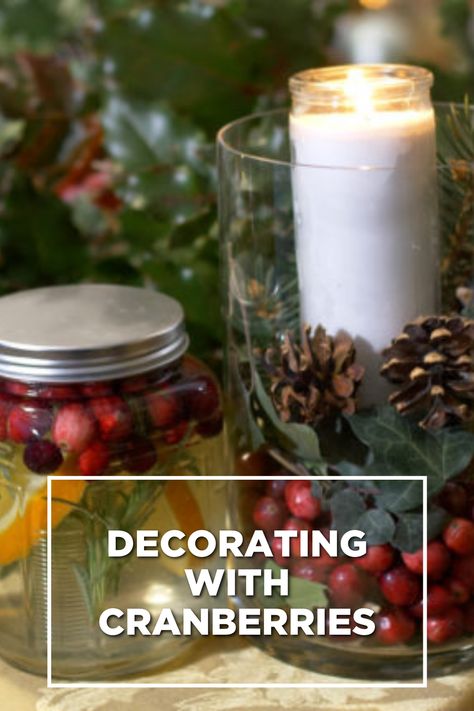 Join Maria in this fun and simple project of decorating with fresh cranberries and different items in your yard to create different decorations for the holidays! Decorate With Cranberries, Decorating With Cranberries, Cranberry Decorations, Cranberry Glass Vase, Plant Crafts, Cranberry Glass, Fresh Cranberries, Easy Projects, Pine Cones