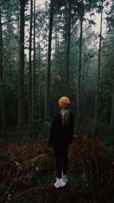 Believe In Your Own Magic [Video] | Rain photography, Forest photography, Beautiful nature scenes Video Rain, Rainy Forest, Moody Forest, Nature Rain, City Streets Photography, Photography Forest, Magic Video, Fall Landscape Photography, Travel Pictures Poses