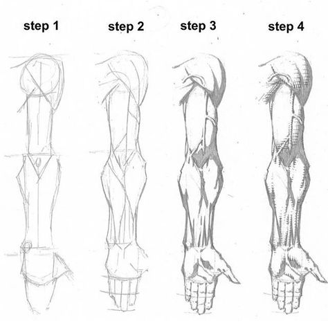 13.8k Likes, 423 Comments - Zach Hsieh (@zhcomicart) on Instagram: “Step by step arm drawing I did a while ago. I will be going through the comments and chooing 5…”