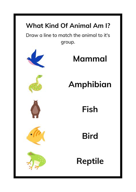 Mammals Worksheets For Kids, Classifying Animals Worksheet, Domestic And Wild Animals Worksheets, Adverbial Phrases, Mammals Activities, Classifying Animals, Group Drawing, Number Activities Preschool, Creative Worksheets