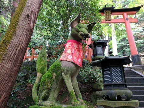 Kitsune Statue in a Shrine in Kyoto https://www.alojapan.com/434816/kitsune-statue-in-a-shrine-in-kyoto/ #JapanPhotos, #Photo, #Photography, #PhotographyInJapan, #Photos, #Pix, #Reddit, #RedditJapanPhotos Kitsune Shrine, Kitsune Statue, Kitsune Character, Oc Story, Biggest Dog, Urban Architecture, Japan Photo, Life Motivation, Big Dogs