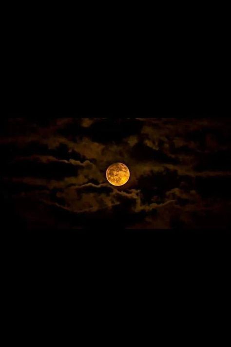 Night Sky Moon, Werewolf Aesthetic, Seni Vintage, New Photo Style, Night Moon, Moon Moon, Atmospheric Phenomenon, Cool Wallpapers For Phones, Moon Photography