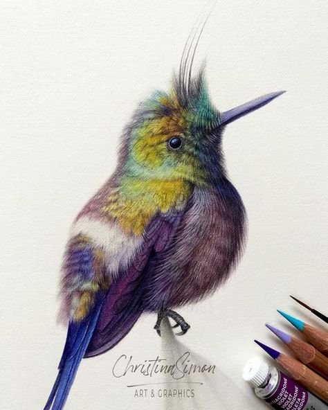 𝘾𝙝𝙧𝙞𝙨𝙩𝙞𝙣𝙖 𝙎𝙞𝙢𝙤𝙣 - 𝘼𝙧𝙩 on Instagram: "Wire-crested Thorntail hummingbird. I love this little guy! Available. Contact me for details. Image 1: detail. Image 2: non cropped image. Watercolours and coloured pencils on 100% cotton watercolour paper. • Paper: Fabriano Artistico HP 640gsm natural white. Watercolours: Winsor & Newton and Daniel Smith. Pencils: Caran d’Ache Luminance - Derwent Lightfast and Drawing (Chinese White) - Faber-Castell Polychromos and graphite. • • • #watercolourpainting #cp_art #birdart #hummingbirdart #wildlifeart #winsorandnewtonwatercolors #onfabrianopaper #carandacheluminance" Derwent Lightfast, Colored Pencil Art Projects, Color Pencil Sketch, Watercolor Beginner, Colored Pencil Drawing, Graphite Drawings, Coloured Pencils, Color Pencil Art, Color Pencil Drawing