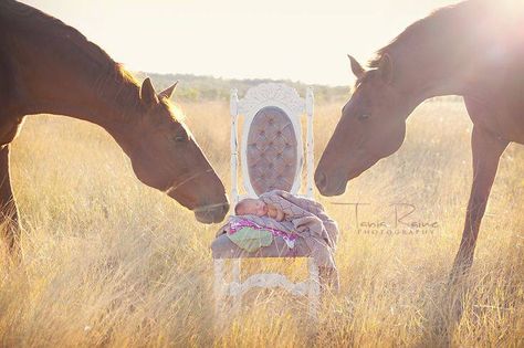 Baby Cowgirl Pictures, Pictures With Cows, Baby Pictures At Home, Home Newborn Shoot, Pictures At Home, Photography At Home, Baby Boy Newborn Pictures, Maternity Shoots, Newborn Shoot