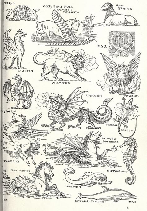 Chimères, dragons et autres créatures - Chimera, dragons and other creatures Woodcut Tattoo, Medieval Drawings, Medieval Tattoo, Medieval Dragon, Ancient Drawings, Medieval Artwork, Arte Peculiar, Occult Art, Arte Inspo