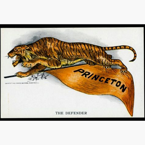 Vintage Princeton Tiger Postcard Princeton Logo, Princeton Tigers, Princeton University, Retro Sports, College Logo, Jersey Girl, Ivy League, School Motivation, College Dorm