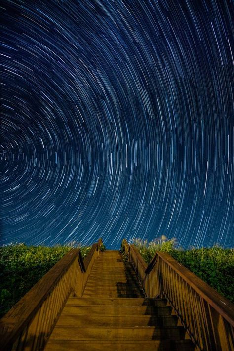 Hidden Skies: Stargazing on the Outer Banks | Black Spot On Roses, Galaxy Background, Star Trails, Sky Full Of Stars, Night Pictures, Space Backgrounds, Night Landscape, Starry Night Sky, Tree Silhouette