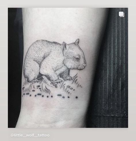 got this wombat done today / done by Bea Kern @ Little Wolf Tattoo in Buchanan NY Wombat Tattoo Ideas, Wombat Tattoo, Australia Tattoo, Trending Tattoos, Prison Tattoos, Animal Tattoo Ideas, Western Stuff, Tattoo Reference, R Tattoo