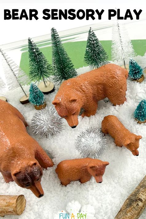 This bear sensory bin is so easy to put together for preschool, pre-k, and kindergarten kids! Perfect for your next bear, hibernation, or winter theme. Click on the Fun-A-Day.com link for more information. Bear Sensory Bin, Hibernation Kindergarten, Hibernation Preschool Theme, Winter Lesson Plans, Bear Hibernation, Hibernation Preschool Activities, Hibernation Crafts, Hibernation Preschool, Hibernation Activities