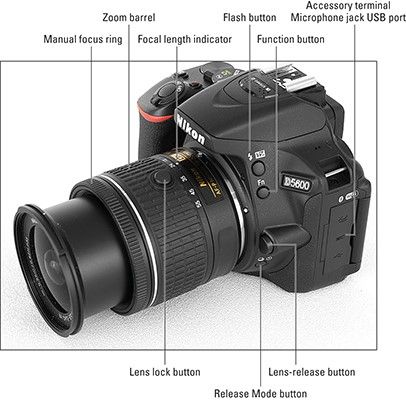 Photography Explained, Beginner Photography Camera, Digital Camera Tips, Beginner Photography, Nikon Digital Camera, Nikon D5600, Nikon D500, Dslr Photography Tips, Nikon D3300