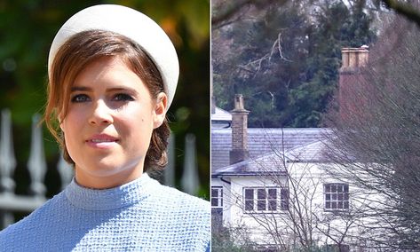 Princess Eugenie has shared a peek inside her home at Frogmore Cottage, which is her cousin... Frogmore House, Frogmore Cottage, Jack Brooksbank, English Royalty, White Wall Decor, Yellow Daffodils, Duchess Of York, Princess Beatrice, House Of Windsor