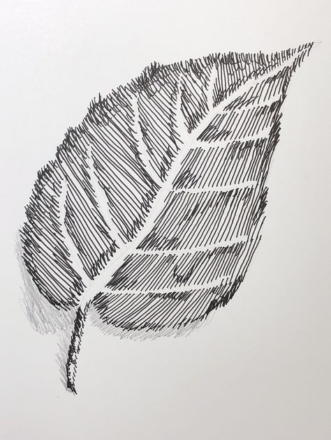 By Tresha Barger - This artwork uses a series of straight, diagonal, and parallel lines to form the image of a leaf. Diagonal Lines Art Design, Straight Line Drawing, Value Drawing, Different Lines, Diagonal Line, Line Artwork, Parallel Lines, Line Art Design, A Series