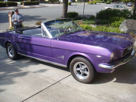 https://flic.kr/p/4MSLYa | Nice Guy with His Pristine Purple '66 Convertable Mustang Old Purple Car, Purple Classic Car, Purple Vintage Car, Purple Convertible, Purple Convertible Car, Purple Cars, Convertible Car, Purple Mustang, Old Mercedes