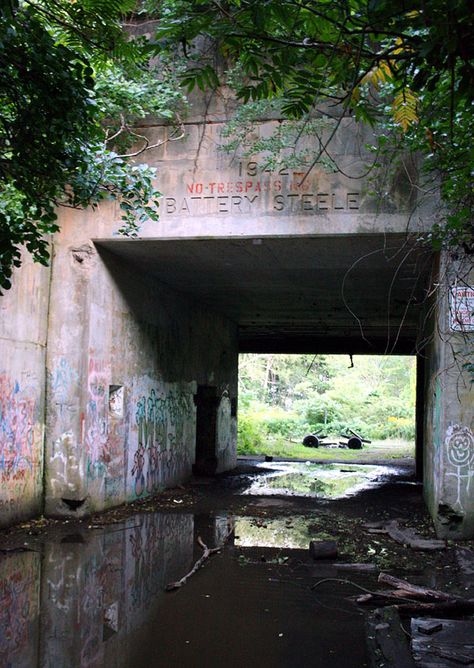 Epic graffiti!! :) :) Imagine spending the night there. ^^ Peaks Island Maine, Peaks Island, A Hill, Road Trip Usa, Pine Trees, Historical Sites, Flashlight, Happy Places, Places To See