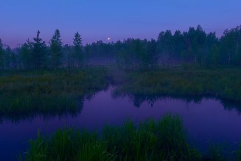 Night Forest Aesthetic, Night Scape Photography, Forest At Night Aesthetic, Night River Aesthetic, Enchanted Forest Night, River Night Aesthetic, Glowing River, Moonlight Forest Aesthetic, Starry Forest