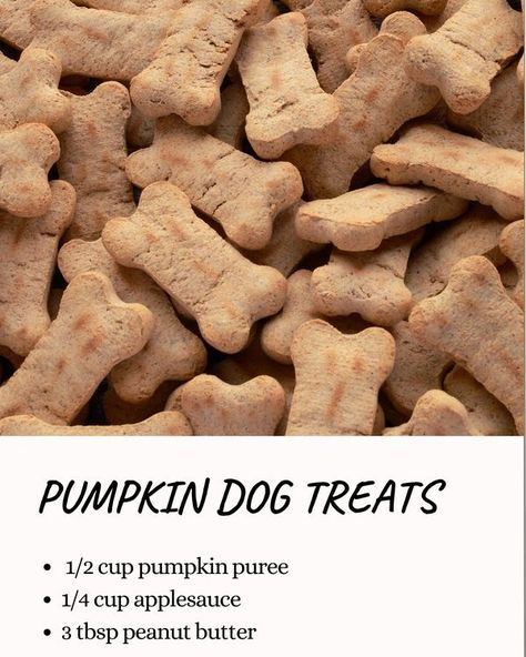 Pumpkin Applesauce Dog Treats, Baked Dog Treats Recipes Pumpkin, Pumpkin Dog Treats Without Peanut Butter, Pumpkin Oats Dog Treats, Pumpkin Dog Treats From Real Pumpkin, Pumpkin Dog Treats, Dog Treats Homemade Recipes, Puppy Food, Dog Biscuits