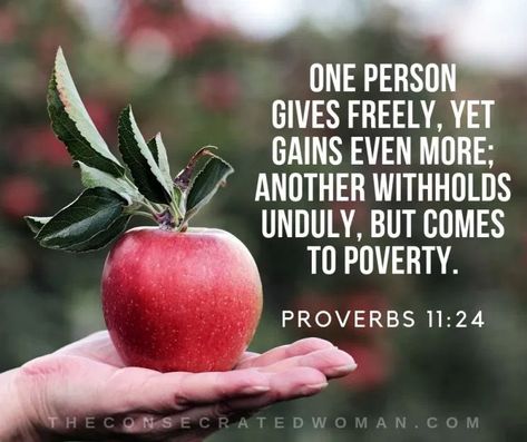 Proverbs 11, Get Even, Here On Earth, Fruit Of The Spirit, Daily Bible Verse, Daily Bible, Verse Of The Day, A Blessing, Great Quotes