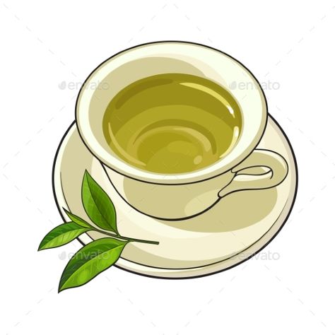 China, porcelain cup, saucer and fresh green tea leaf, sketch vector illustration isolated on white background. Hand drawn porcela Green Tea Drawing, Tea Leaf Illustration, Green Tea Illustration, Green Tea Aesthetic, Tea Cup Image, Tea Drawing, Leaf Sketch, Tea Cup Drawing, Green Tea Cup