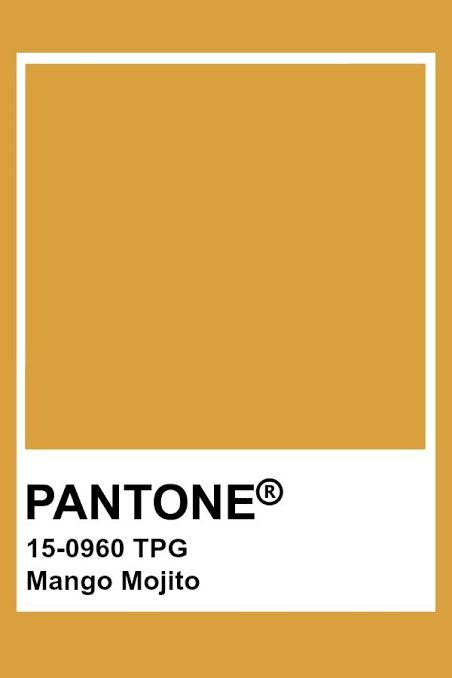 Pantone Color Palette Charts, Mango Color Palette, Color Palettes For Home, Mango Aesthetic, Home Color Ideas, Mood Boards Color, Graphic Design Color, Pantone Tcx, Home Color Palette