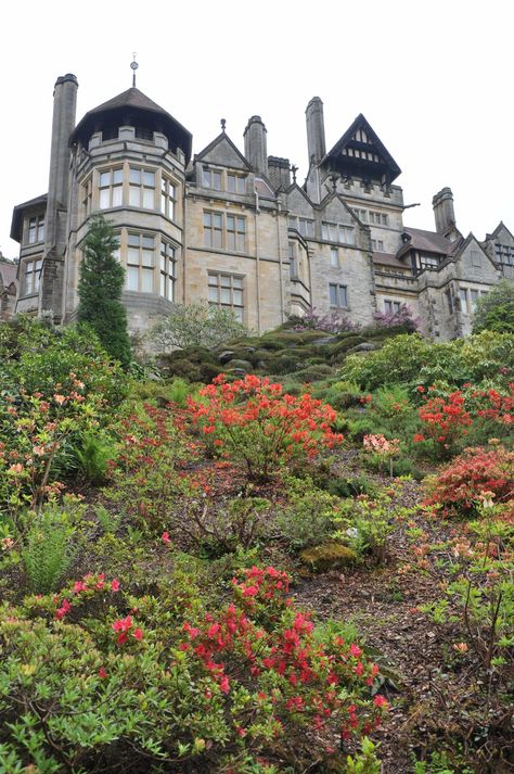 Cragside Rothbury Northumberland | Cragside is a country hou… | Flickr Cragside House, Rothbury Northumberland, Coniferous Trees, Laundry Equipment, Country Lodge, Northumberland England, Astronomical Observatory, Hydroelectric Power, Conifer Trees