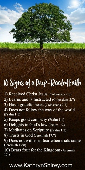 How deep is your faith? How strong are your roots? Deep-rooted faith will sustain you through droughts, steady you through trials, and nourish you to thrive. Rooted In Faith, Rooted In Christ, Faith Prayer, Bible Knowledge, Knowing God, Christian Inspiration, Faith In God, Christian Life, Christian Faith