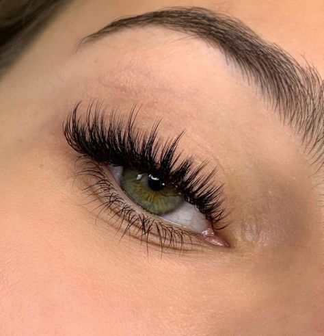 Natural Fake Eyelashes, Lashes Fake Eyelashes, Wispy Eyelashes, Professional Eyelash Extensions, Cat Eye Lash, Eyelash Extensions Styles, Lash Extensions Styles, Perfect Eyelashes, Pretty Lashes