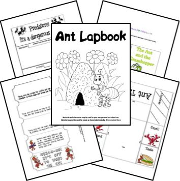 Free Ant Lapbook� Bee Lapbook, Ant Unit Study, Ant Lesson, Insect Unit, Lap Books, Ant Farm, My Father's World, Magic School Bus, Unit Studies