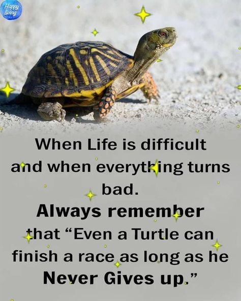 Never give up | Never give up | By Happy Living | Facebook Happy Turtle, Motivational Memes, Giving Quotes, Inspirational Life Lessons, Bible Journal Notes, Slaap Lekker, Gods Love Quotes, New Beginning Quotes, Mental Training