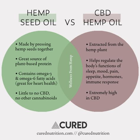 Hemp Oil Benefits, Protein Benefits, Cbd Oil Benefits, Endocannabinoid System, Cbd Hemp, Oil Benefits, Hemp Seed Oil, Hemp Seeds, Hemp Oil