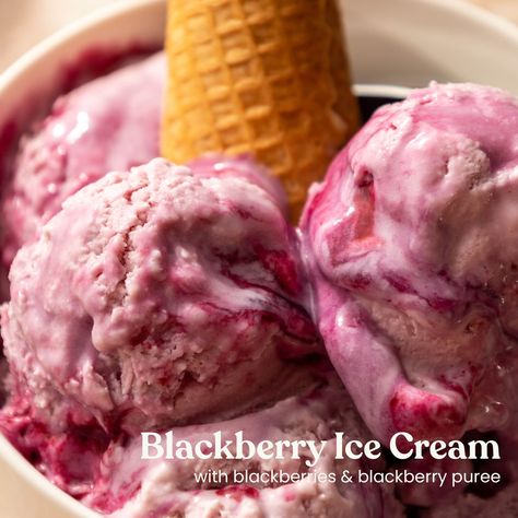 It's delicious, and so easy to make. And the best part? You don't even need an ice cream machine!⁠ 🍨💙⁠
⁠
Discover the recipe via the link! Blackberry Ice Cream, Blackberry Syrup, Ice Cream Machine, An Ice Cream, Frozen Fruit, Sweet Tarts, Heavy Whipping Cream, Vanilla Extract, The Recipe