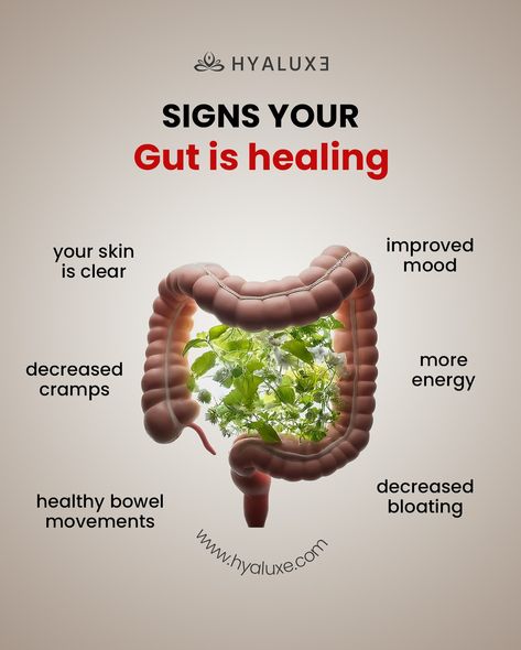 Comment “THYROID” to get your link 🫀 The gut and thyroid have a complex relationship that plays a significant role in overall health. Here’s how they are connected: 1. Thyroid Function and Gut Health: • Hypothyroidism (Underactive Thyroid): This condition can slow down the digestive process, leading to issues like constipation, bloating, and an imbalance in gut bacteria. Sluggish digestion can cause food to ferment, leading to an overgrowth of harmful bacteria. • Hyperthyroidism (Overact... Digestion Process, Thyroid Function, Gut Bacteria, Overall Health, Gut Health, Slow Down, Improve Yourself, Conditioner, Healing