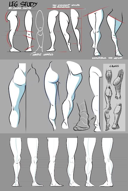 Leg Study, Female Anatomy Reference, Drawing Legs, Drawing Female Body, Human Anatomy Drawing, Body Drawing Tutorial, Human Anatomy Art, Anatomy Sketches, Body Reference Drawing