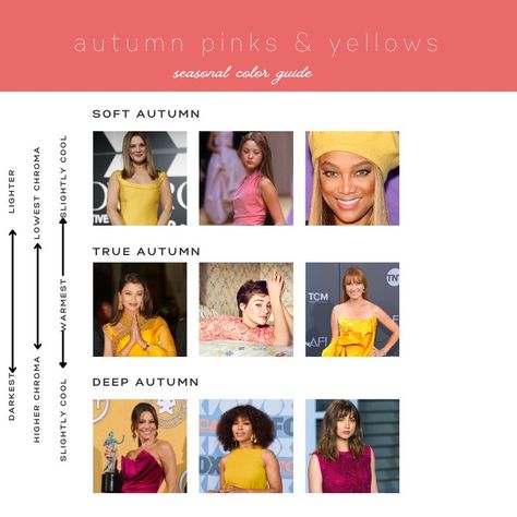 Color Analysis Test, Autumn True, Color Exploration, Autumn Prints, True Autumn, Deep Autumn, Autumn Display, Dark Autumn, Pink Carnations