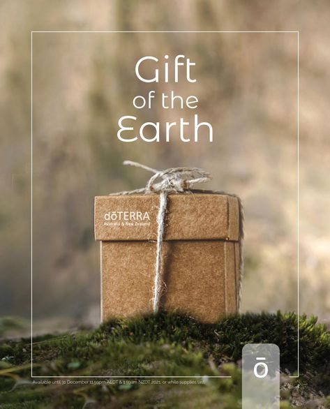 doTERRA AUNZ Christmas 2021 Catalogue Ddr Prime Doterra, Holiday Peace Doterra, Why Doterra, On Guard Doterra, Doterra Onguard, Summer Savory, Savory Herb, Healthy Digestion, Everyday Moments