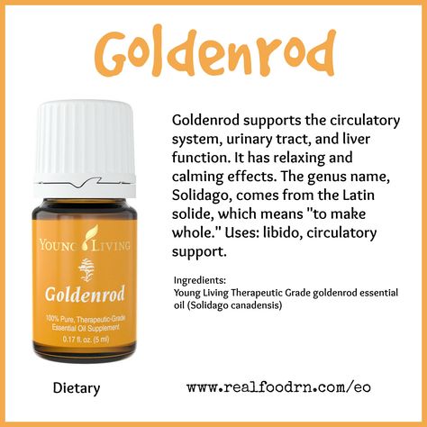 Goldenrod Essential Oil Pin Goldenrod Essential Oil, Helichrysum Essential Oil, Yl Oils, Essential Oils Guide, Yl Essential Oils, Citrus Essential Oil, Chamomile Essential Oil, Living Essentials Oils, Diffuser Recipes