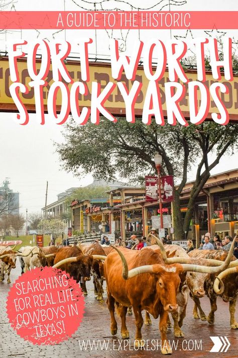 Ft Worth Stockyards, Dallas Travel, Fort Worth Stockyards, Texas Places, Texas Roadtrip, Usa Soccer Women, Waco Texas, Ft Worth, The Fort