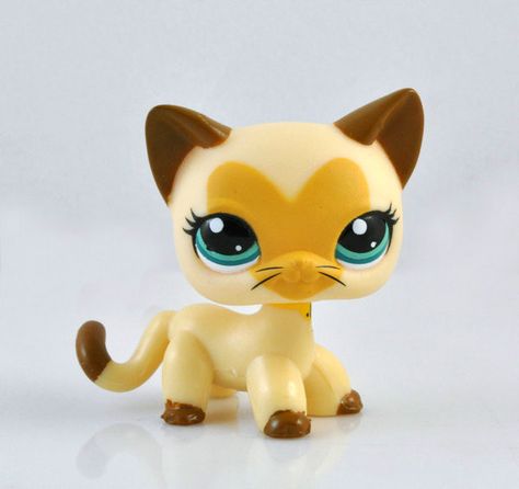 THE OLD LPS ARE BACK!!!!!! littlest pet shop cat Cute Lps, 2023 List, Lps Shorthair, Rare Lps, Lps Accessories, Lps Popular, Lps Cats, Lps Customs, Custom Lps