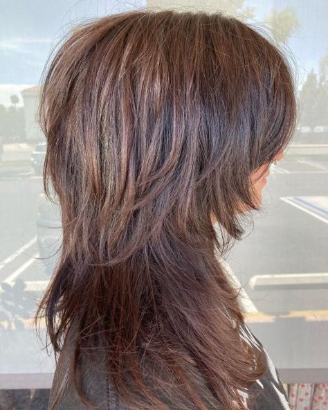 Blowout for Feathered Two-Tier Shag Light Brown Wolf Cut, Brown Wolf Cut, Brown Wolf, Long Layers With Bangs, Layered Thick Hair, Layered Haircuts For Women, Layered Haircuts With Bangs, Wolf Haircut, Layered Curly Hair