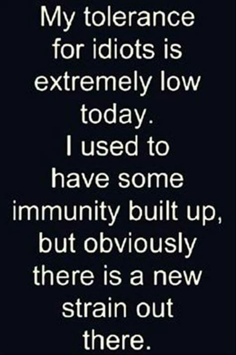 My tolerance for idiots is extremely low today. I used to have some immunity built up, but obviously there is a new strain out there. Quotes Funny Life, Funny Quotes About Life, Twisted Humor, E Card, Work Humor, Work Quotes, Sarcastic Humor, Sarcastic Quotes, Funny Signs