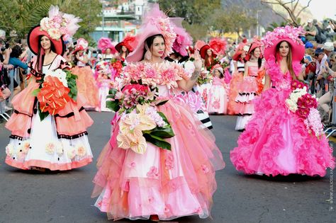 Madeira Flower Festival 2016/Pink Ladies Flower Festival, Cloth Flowers, Creative Fashion, Tulle Skirt, Columbia, Mood Board, Pink Ladies, Spain, Festival