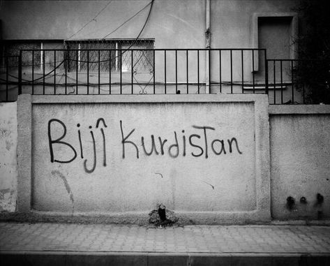 Kurdistan Culture, Kurdish Language, Kurdish Art, Boxer Aesthetic, Kurdish Culture, Kurdish Quotes, Asthetic Picture White And Black, Message Logo, Now Quotes