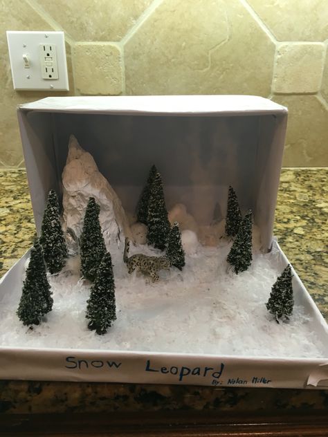 Snow Leopard Diorama Snow Leopard Habitat, Leopard Craft, Shoe Box Diorama, Christmas Village Display Ideas Diy, Holiday Hot Cocoa Bar, Trees Tutorial, Diarama Ideas, Christmas Village Display Ideas, Village Display Ideas