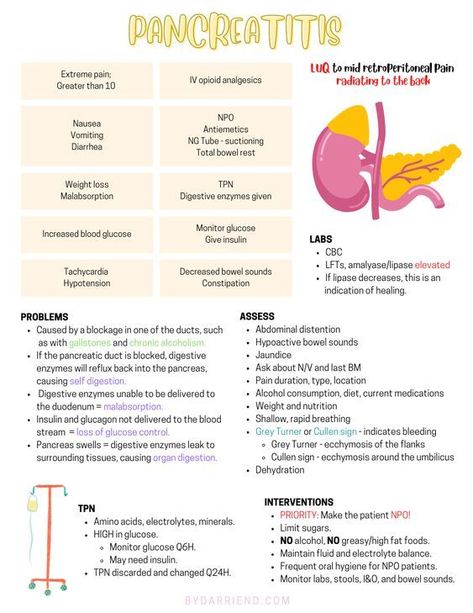 Pancreatitis #nursingstudent #nurse #resources - Image Credits: Darrien D. | Nursing School | Study Notes | Nurse Aesthetic Liver Nursing Notes, Aesthetic Notes Nursing, Gerd Nursing, School Study Notes, Pathophysiology Nursing, Nursing School Studying Cheat Sheets, Med Notes, Nurse Notes, Nurse Study