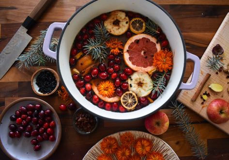 Forest Wassail Recipe — Catori Life Journal Wassail Recipe Traditional, Christmas Wassail Recipe, Traditional Wassail Recipe, Pagan Recipes, Catori Life, Solstice Winter, Winter Solstice Party, Wassail Recipe, Winter Solstice Celebration