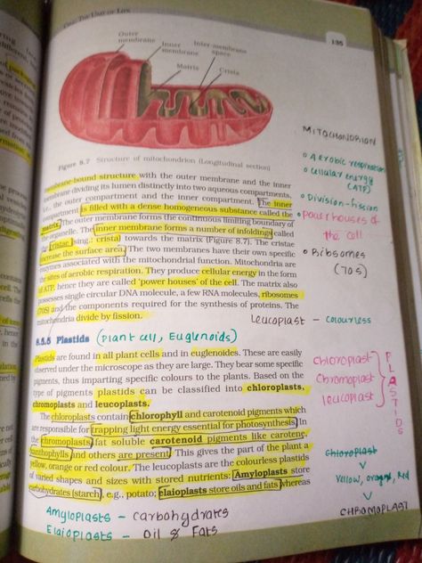 Cell The Unit Of Life Notes Class 11, Ncert Biology Class 11, Ncert Biology, Biology Lover, Biology Class 11, Neet Biology, Bio Notes, Neet Notes, Learn Biology