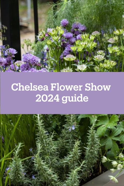 Chelsea Flower Show 2024 returns with inspiring garden designs and practical advice for seasoned and novice gardeners, and some key themes: money-saving tips, the joys of gardening and championing sustainability. Chelsea Garden Show 2024, Rhs Chelsea Flower Show 2024, Rhs Chelsea Flower Show Gardens, Chelsea Flower Show 2024, Chelsea Garden Show, Small Scale Gardening, Planting Combinations, Chelsea Garden, Rhs Chelsea Flower Show