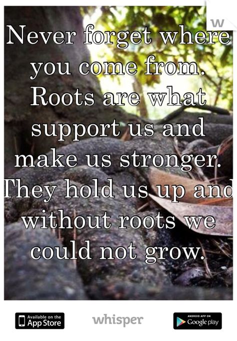 Never forget where you come from. Roots are what support us and make us stronger. They hold us up and without roots we could not grow. Never Forget Where You Come From, Rooting For You Quotes, Rooting For Each Other Quotes, Rooted Quotes, Back To My Roots Quotes, Never Forget Your Roots Quotes, Deep Roots Are Not Reached, Roots Quotes, Remember Quotes