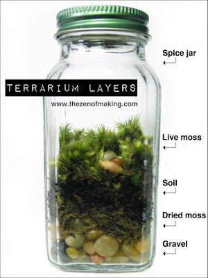 Tutorial: Spice Jar Mini Terrariums #terrariums #tutorial #recycle #upcycle #mini #crafts Terrarium Layers, Mini Templates, Forest Terrarium, Bonsai Terrarium, Mini Terrarium, Plant Terrarium, Moss Terrarium, Moss Garden, Terrarium Diy