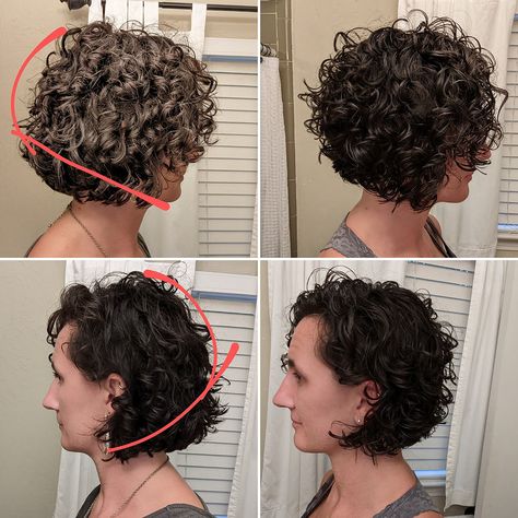 Time for a Haircut | a.steed's.life Inverted Shaggy Bob, Short Curly Inverted Bob, Stacked Curly Bob, Stacked Curly Bob Haircut, Bob Curly Hair, Curly Bob Haircut, Curly Inverted Bob, Short Curly Hairstyles For Women, Grey Curly Hair